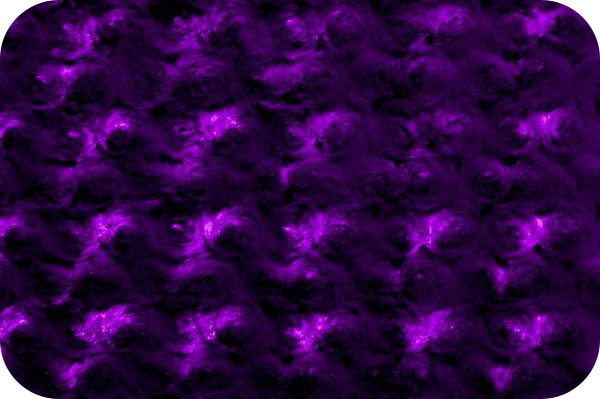 &nbsp;Rose Cuddle Purple